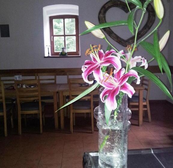 בית מלון כפרי Castle Mlýn Maděrovka