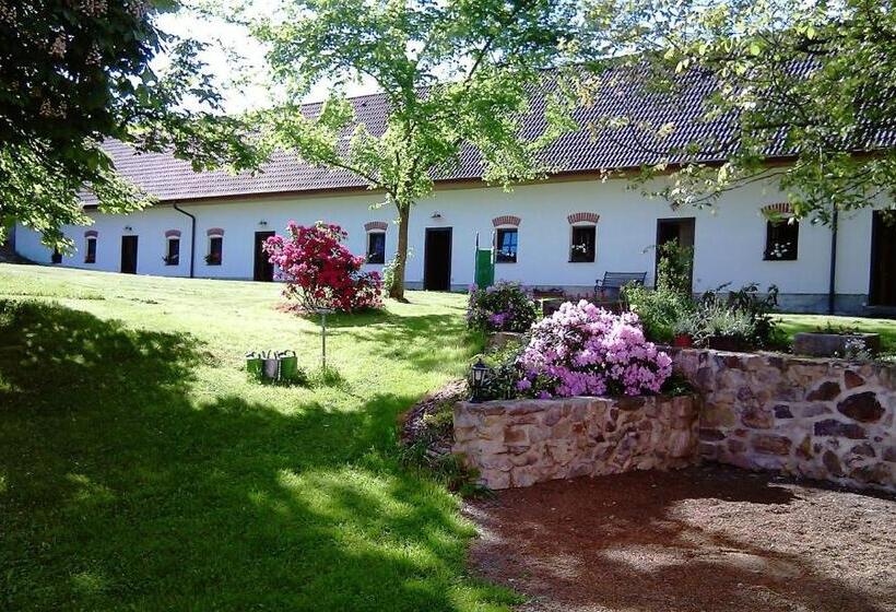 בית מלון כפרי Castle Mlýn Maděrovka