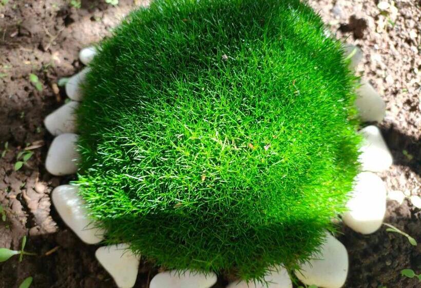 ホテル Familia Fantastiko