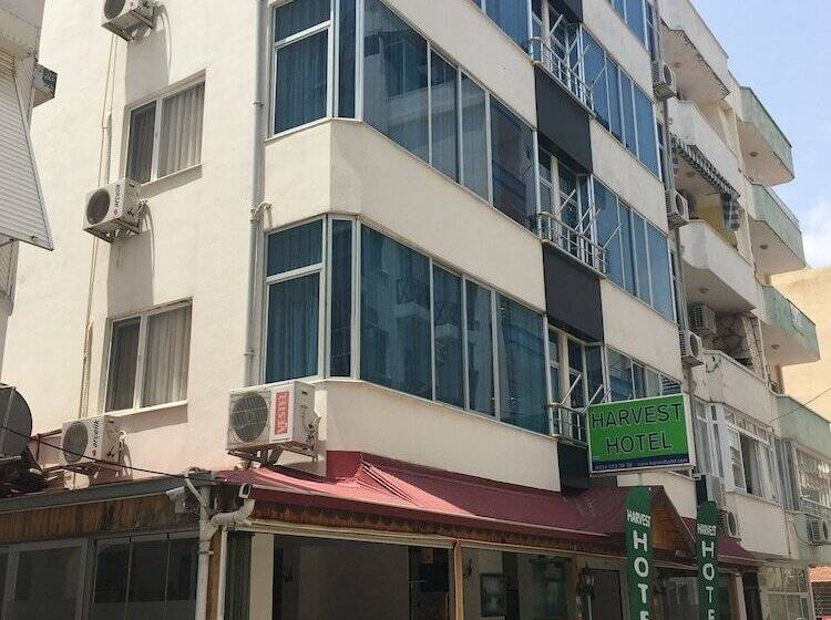 فندق Harvest