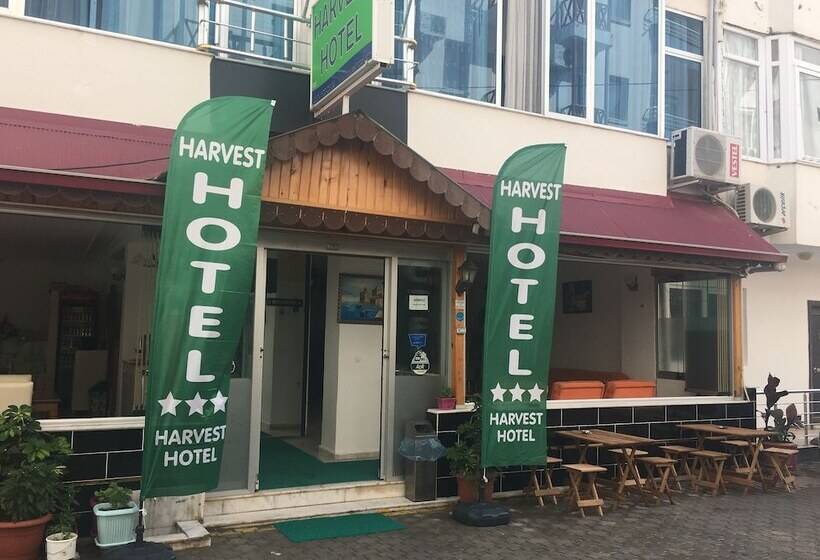 فندق Harvest