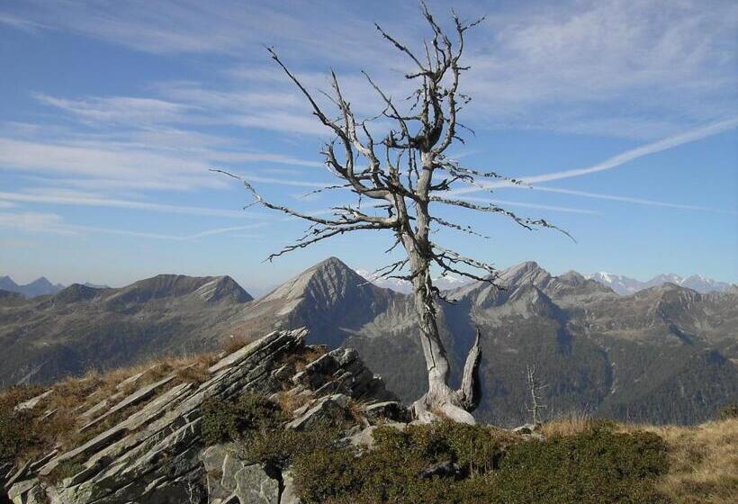 ホテル Palazzo Gamboni Swiss Historic