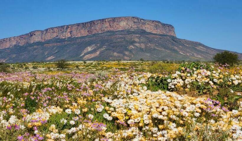 بنسيون Aant Dorpseind