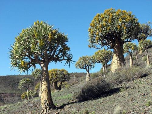 بنسيون Aant Dorpseind