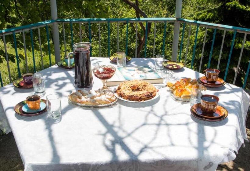 پانسیون Guest House Mary