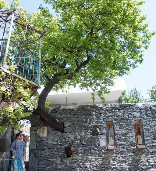 پانسیون Guest House Mary