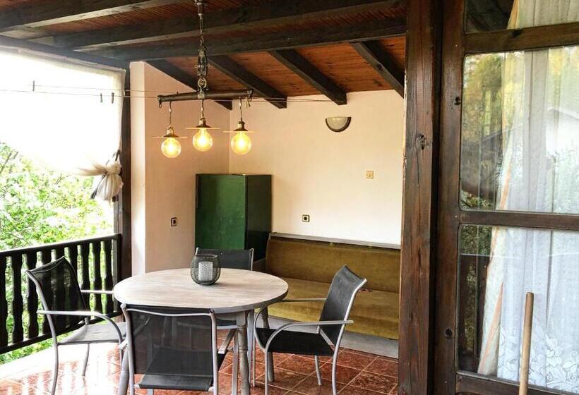 Пансион Luylyana Guesthouse