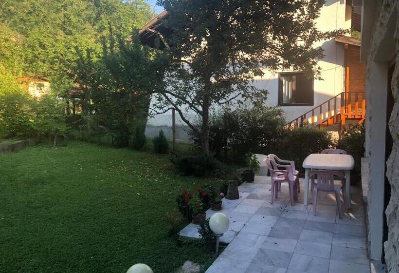 Пансион Luylyana Guesthouse