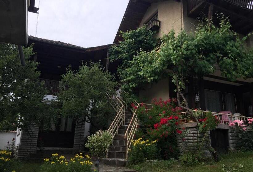 Пансион Luylyana Guesthouse