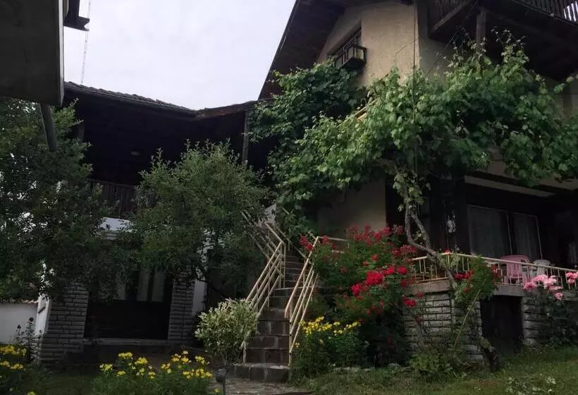 ペンション Luylyana Guesthouse