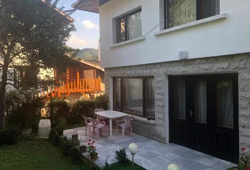 ペンション Luylyana Guesthouse