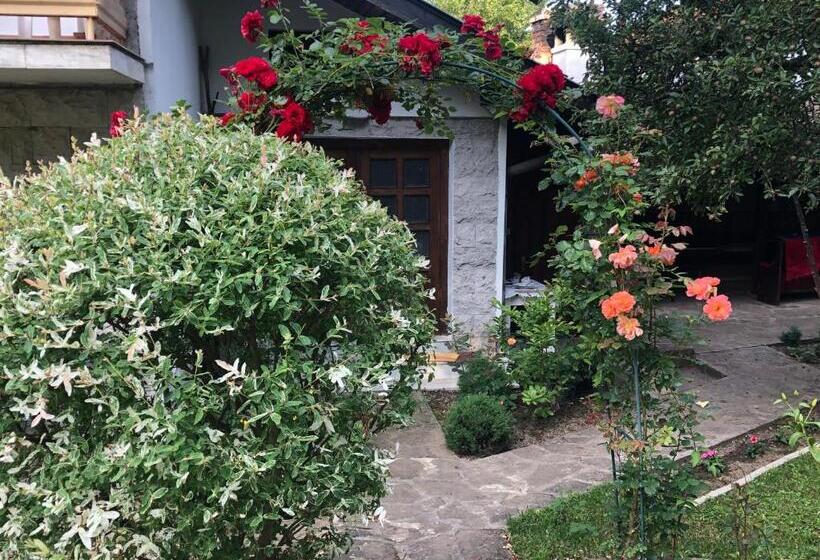 Пансион Luylyana Guesthouse