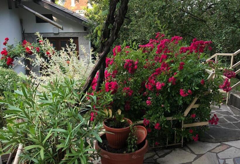 Пансион Luylyana Guesthouse