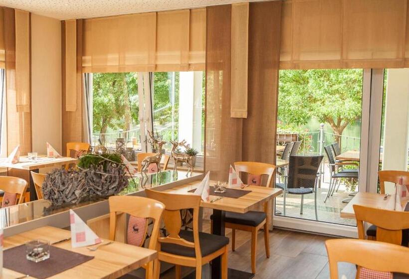 Пансион Metzgerei Moselgasthof Andries