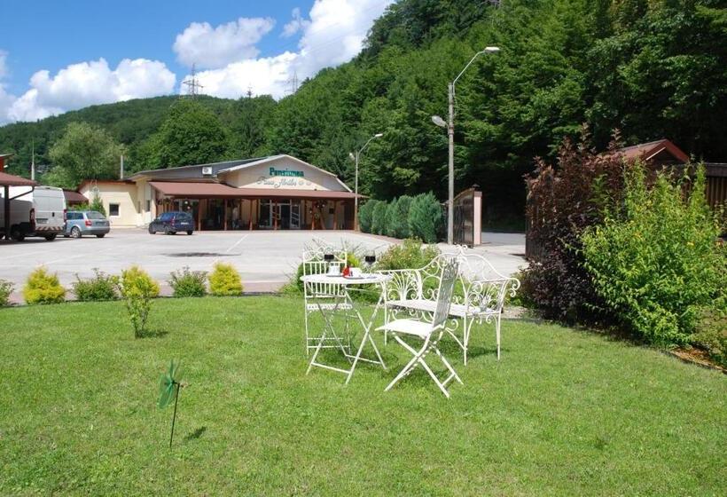 Pensiunea Roua Florilor