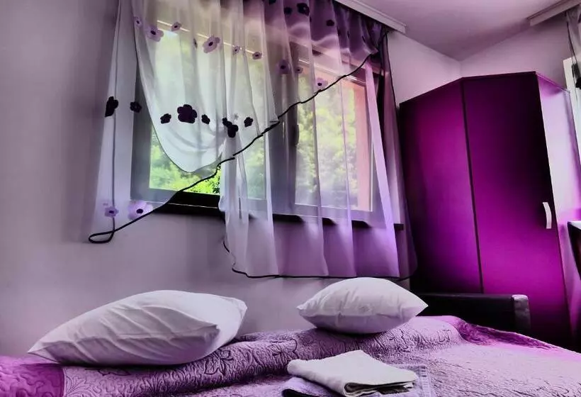 Pensiunea Roua Florilor
