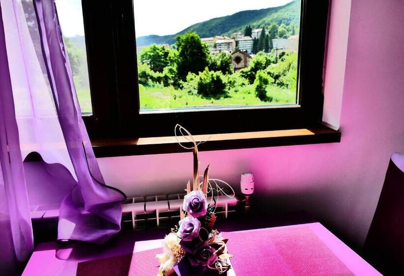 Pensiunea Roua Florilor