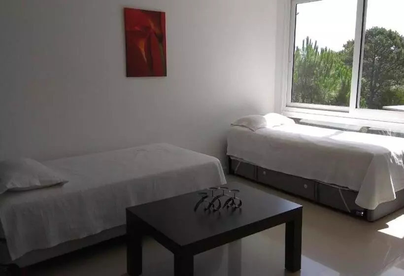 Punta 28