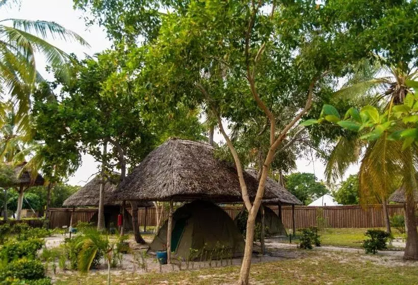 リゾートホテル Butiama Marine Camp