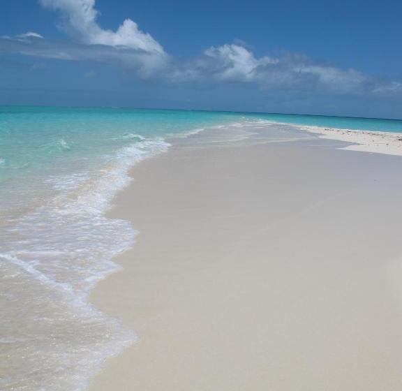 리조트 Butiama Marine Camp