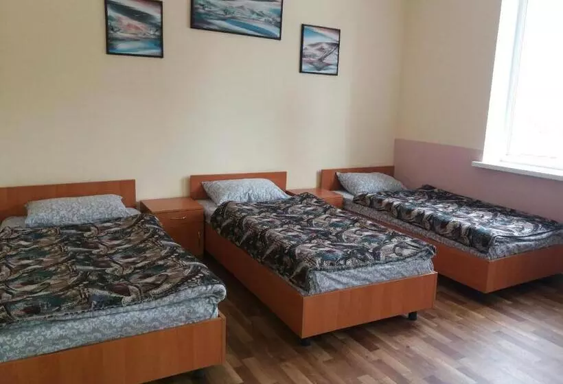 ユースホステル мини гостиница три коня