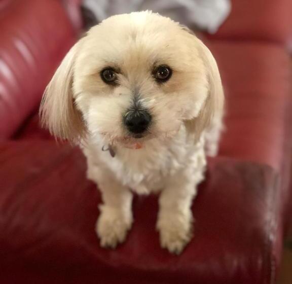 مبيت وإفطار Restaurant Et Chambres D Hôtes Le Chermignon