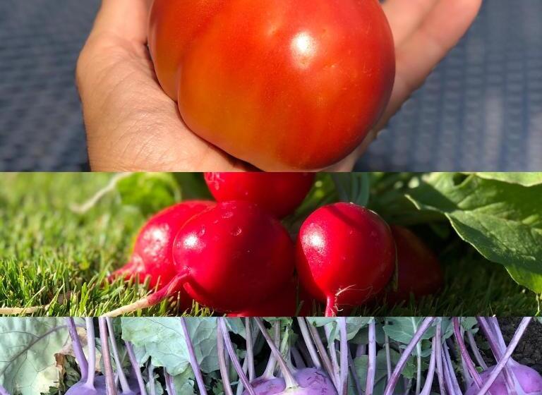 مبيت وإفطار Restaurant Et Chambres D Hôtes Le Chermignon