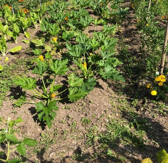 مبيت وإفطار Restaurant Et Chambres D Hôtes Le Chermignon