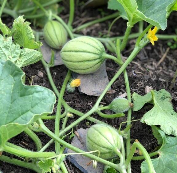 مبيت وإفطار Restaurant Et Chambres D Hôtes Le Chermignon