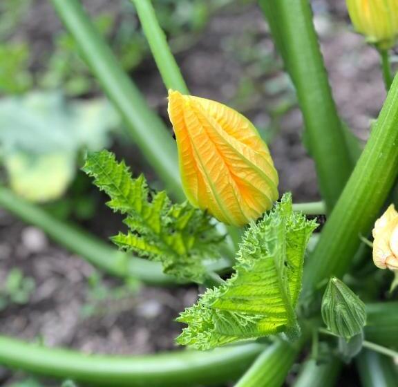 مبيت وإفطار Restaurant Et Chambres D Hôtes Le Chermignon