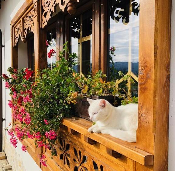 민박 Conacul Grigorescu