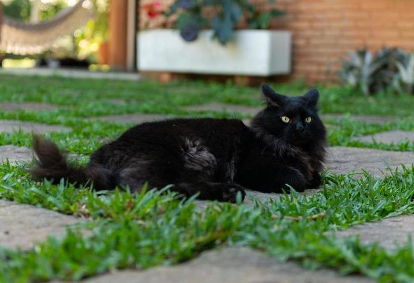 Bed and Breakfast Tiê Cama E Café