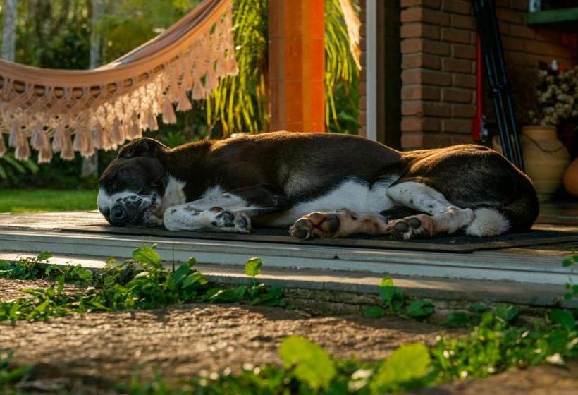 Bed and Breakfast Tiê Cama E Café