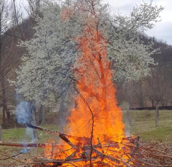 Отель Pensiunea Happy