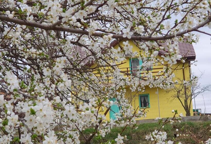 Отель Pensiunea Happy