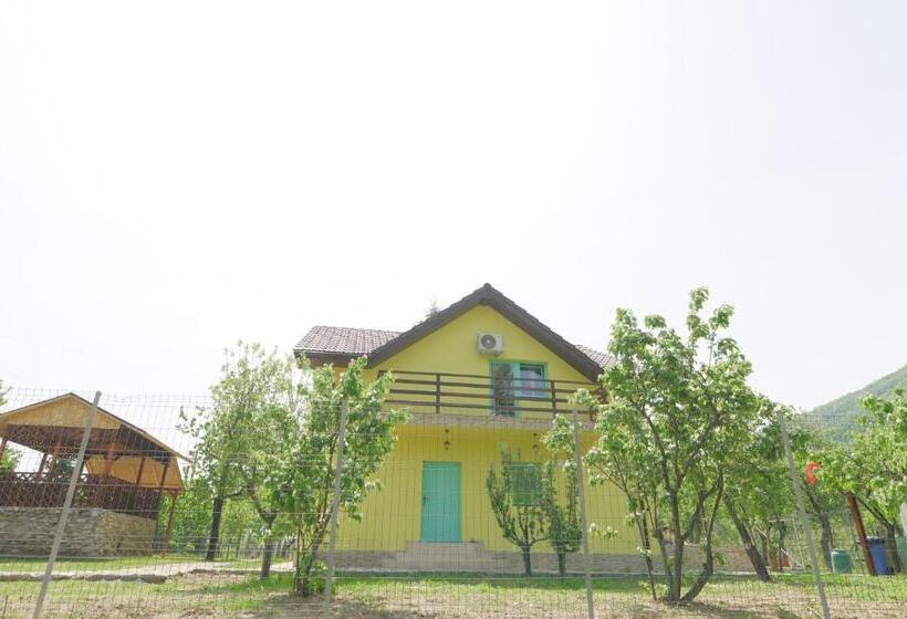 Отель Pensiunea Happy