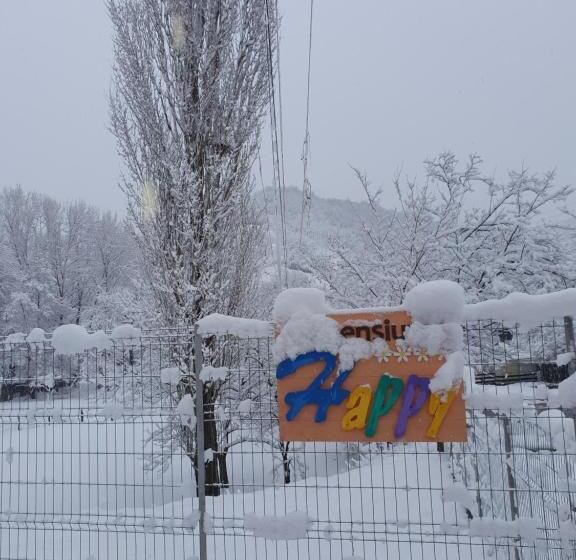 Отель Pensiunea Happy