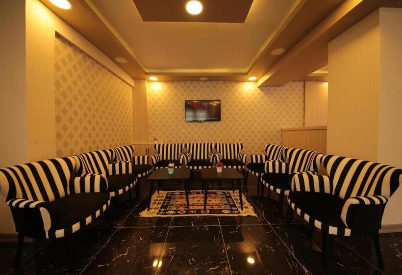 בית מלון כפרי Safran Germi̇a Palas