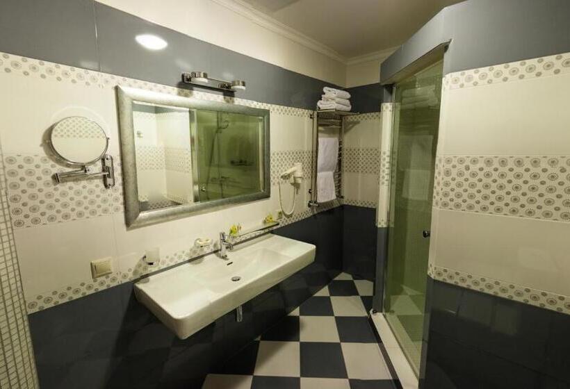 בית מלון כפרי Shato