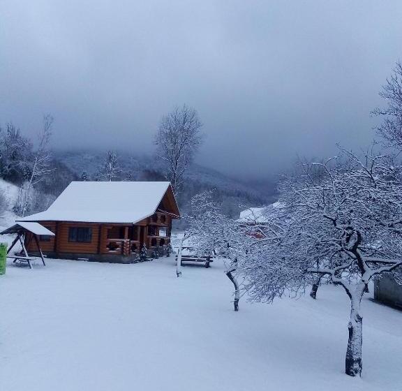 汽车旅馆  Cottage лісовий