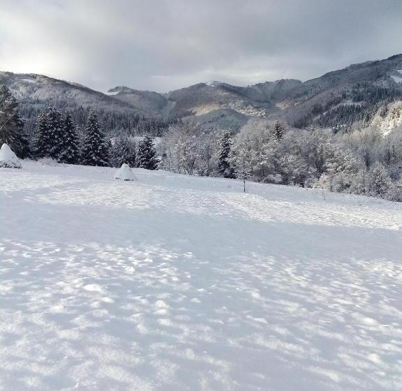 汽车旅馆  Cottage лісовий