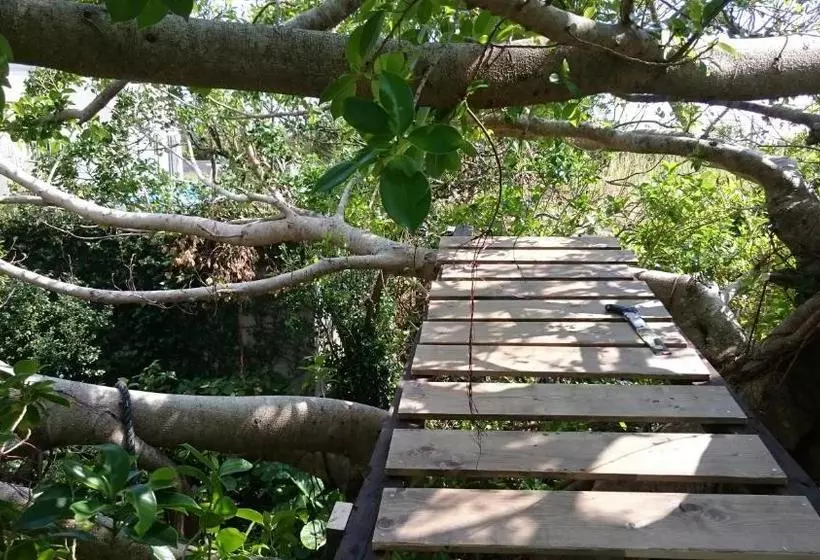 Majatalo 手広beachbackpackers