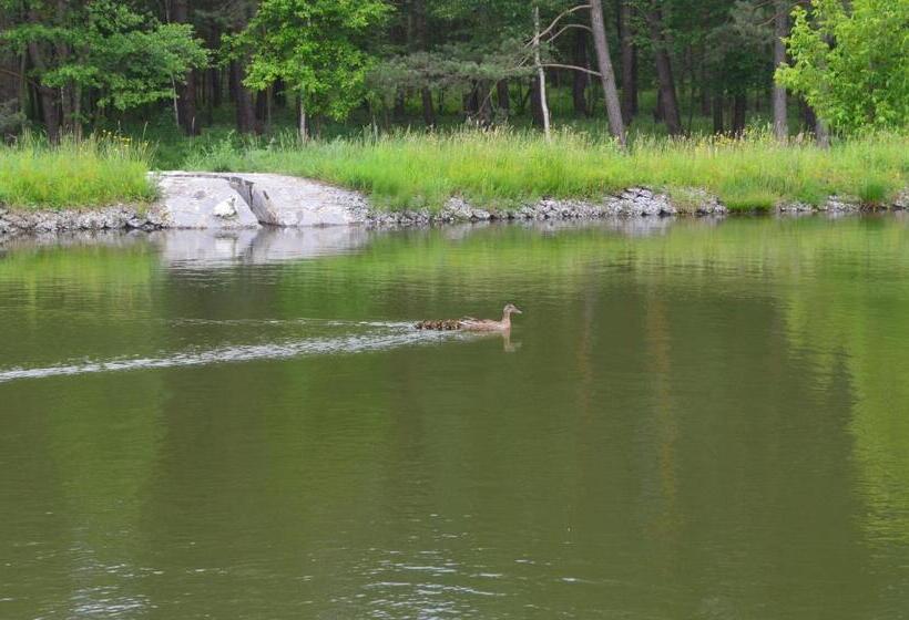 Пансион Gostynna Sadyba Kit Bayun