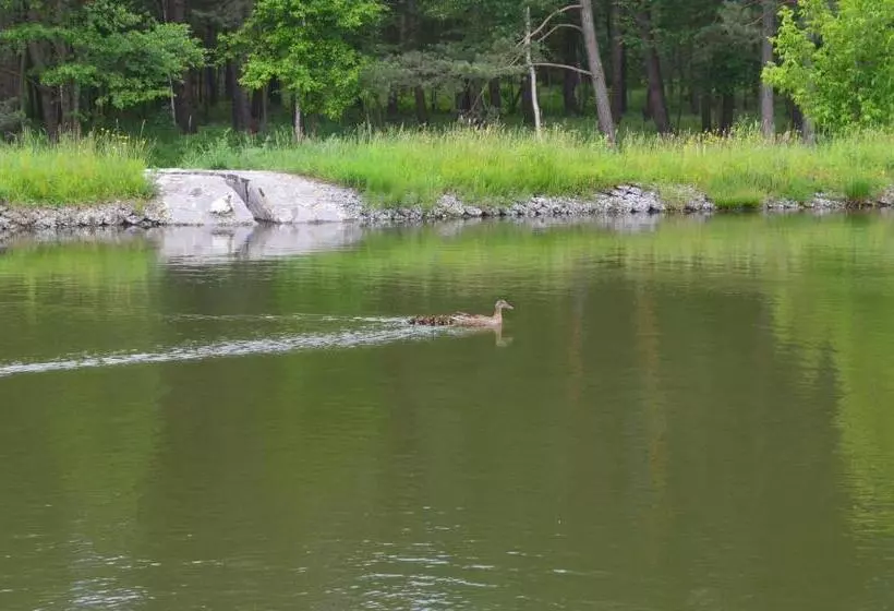 ペンション Gostynna Sadyba Kit Bayun