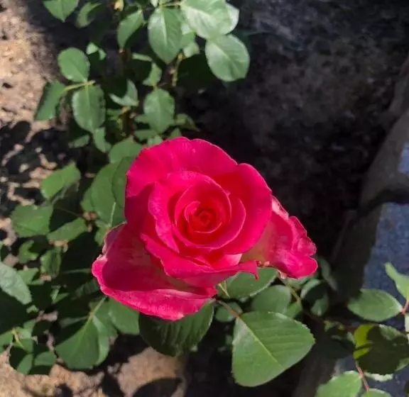 ペンション Gostynna Sadyba Kit Bayun