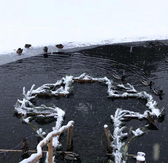 Пансион Gostynna Sadyba Kit Bayun