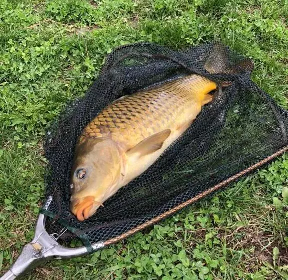 ペンション Gostynna Sadyba Kit Bayun