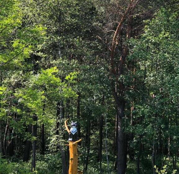 Пансион Gostynna Sadyba Kit Bayun