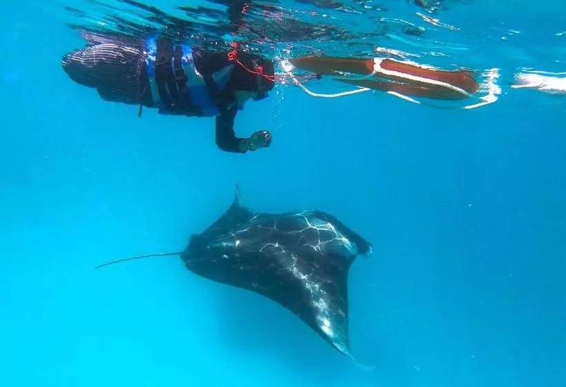پانسیون Faima Fishing Lodge At Daravandhoo