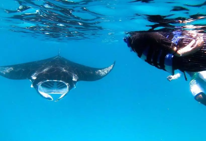 پانسیون Faima Fishing Lodge At Daravandhoo